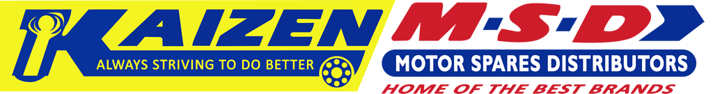 Kaizen MSD